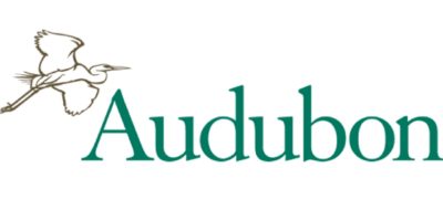 Internship Spotlight: The National Audubon Society