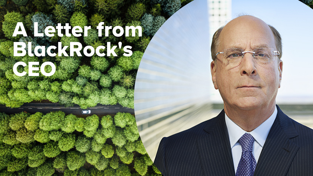 larry fink blackrock letter to ceos